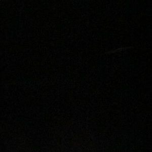 Meet your Posher, Gary